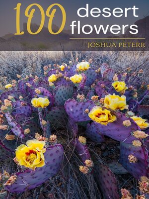 cover image of 100 Desert Flowers Part I